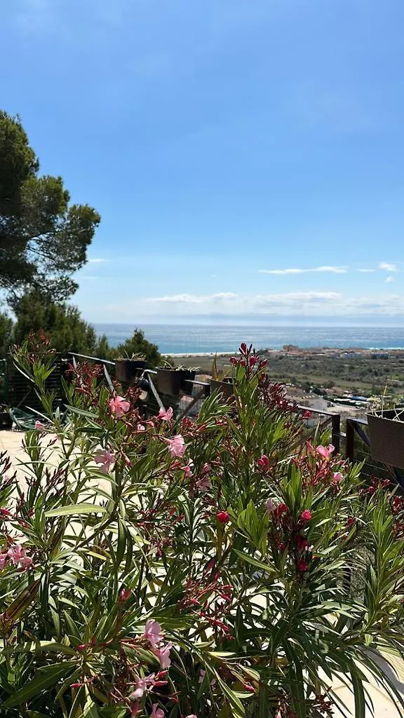 Green Houses Of L'Estartit